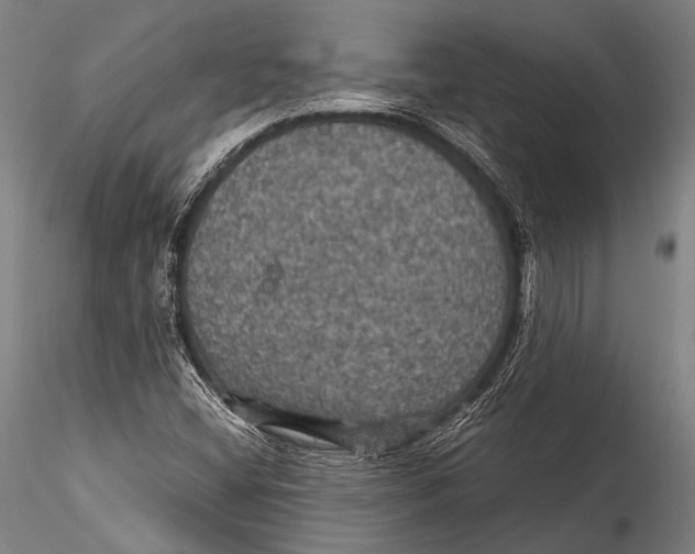 X0000115321404200911301548