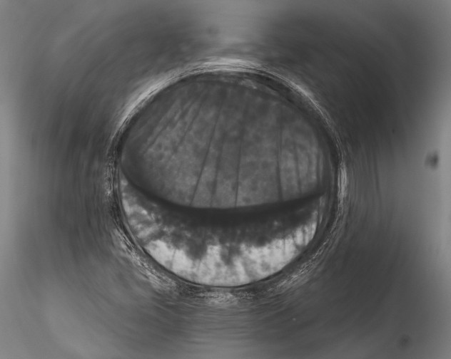 X0000115321405200911301548