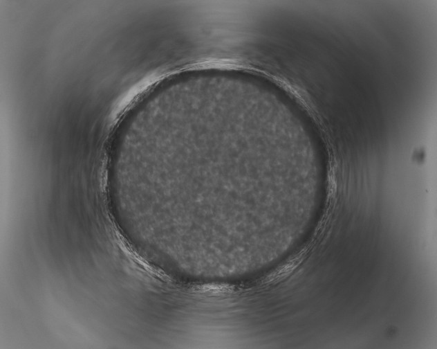 X0000115321406200911301548