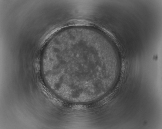 X0000115321407200911301548