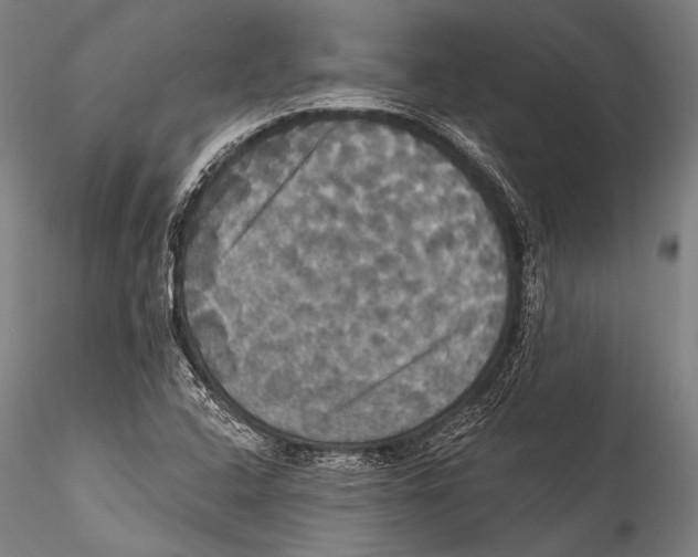 X0000115321408200911301548