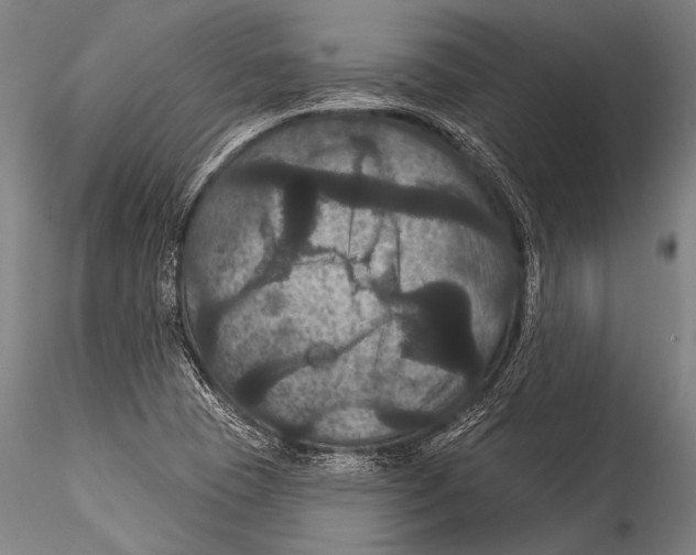 X0000115321409200911301548