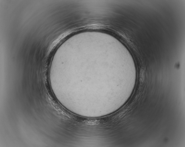 X0000115321410200911301548