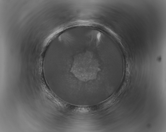 X0000115321411200911301548