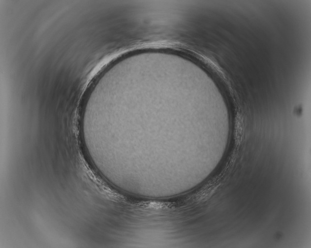 X0000115321412200911301548