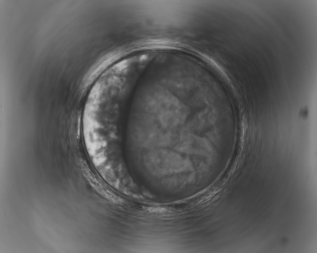 X0000115321413200911301548