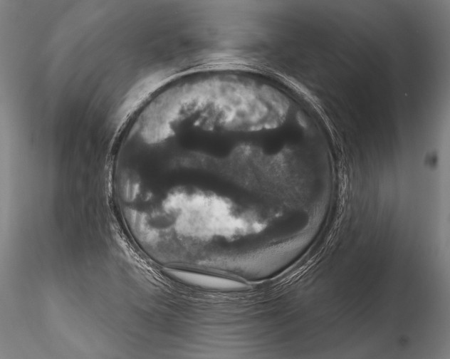 X0000115321415200911301548