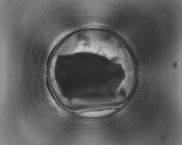 X0000115321418200911301548