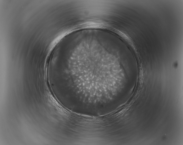 X0000115321419200911301548