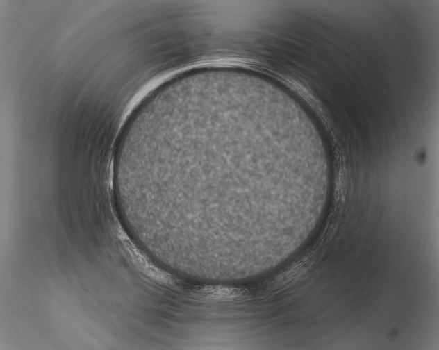 X0000115321420200911301548