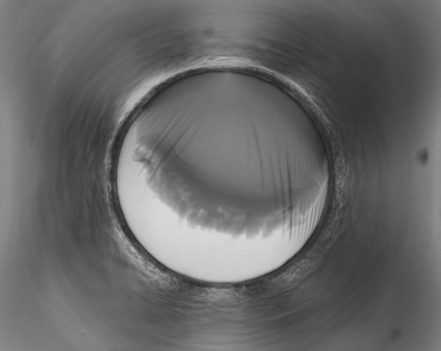 X0000115321422200911301548