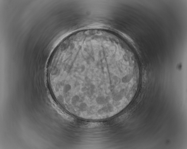 X0000115321423200911301548