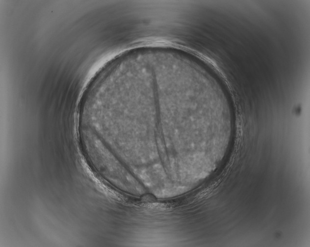 X0000115321424200911301548