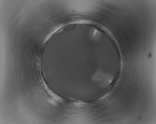 X0000115321425200911301548