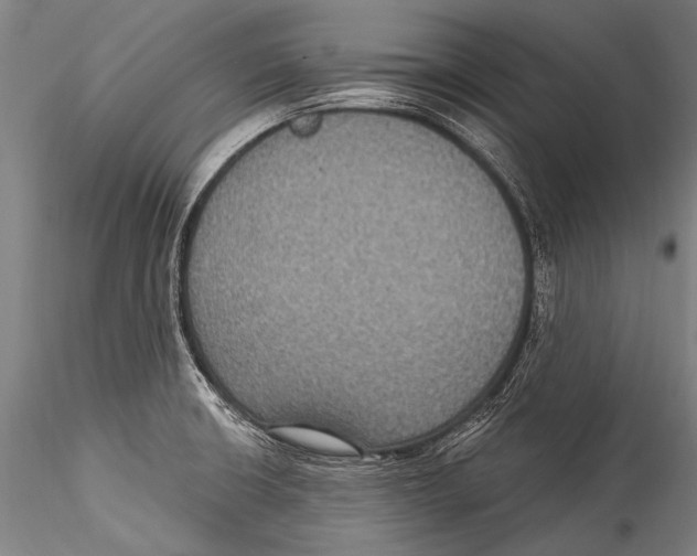 X0000115321426200911301548