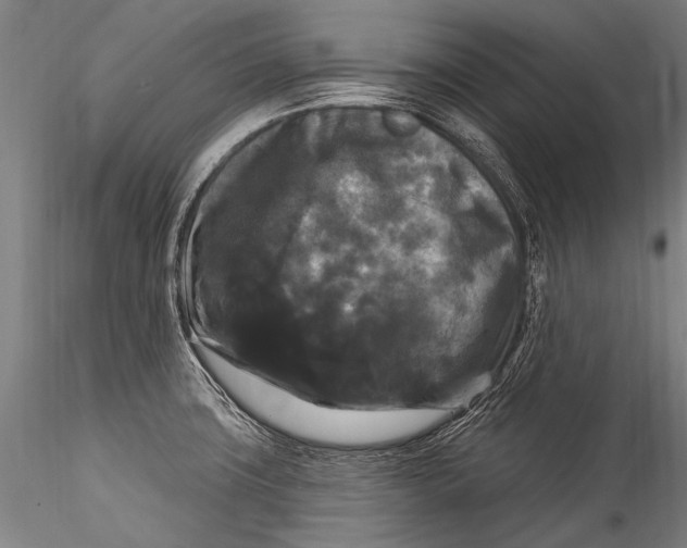 X0000115321427200911301548