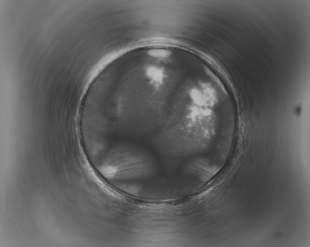 X0000115321429200911301548