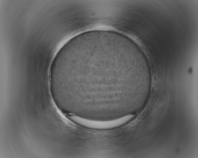 X0000115321430200911301548