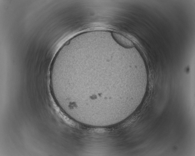 X0000115321431200911301548