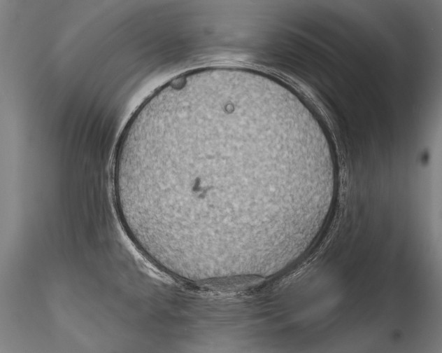 X0000115321432200911301548