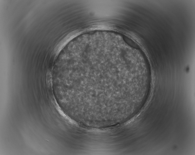 X0000115321433200911301548