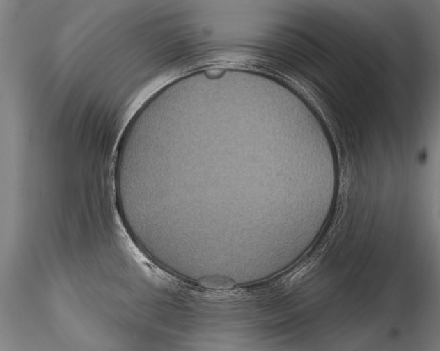 X0000115321434200911301548