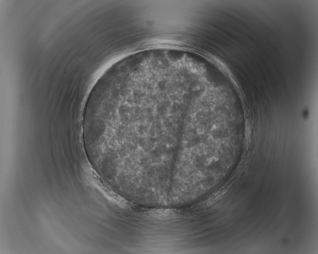 X0000115321435200911301548