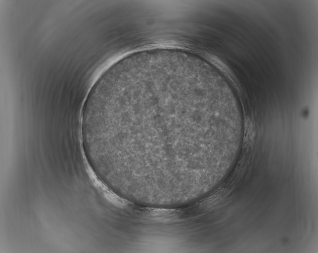 X0000115321439200911301548