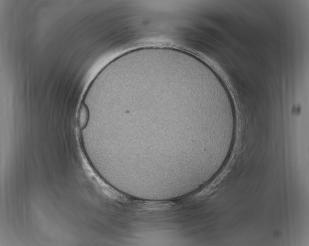 X0000115321440200911301548