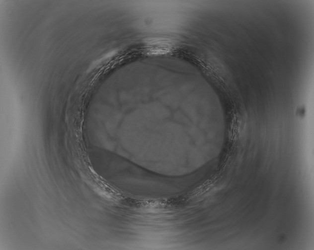 X0000115321441200911301548