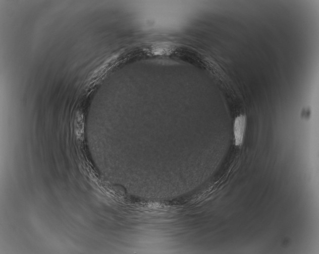 X0000115321443200911301547