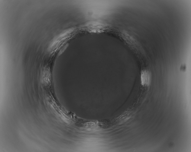 X0000115321444200911301547