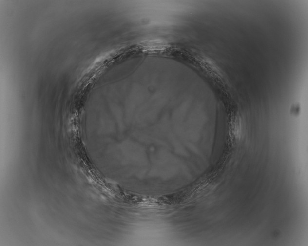 X0000115321445200911301547