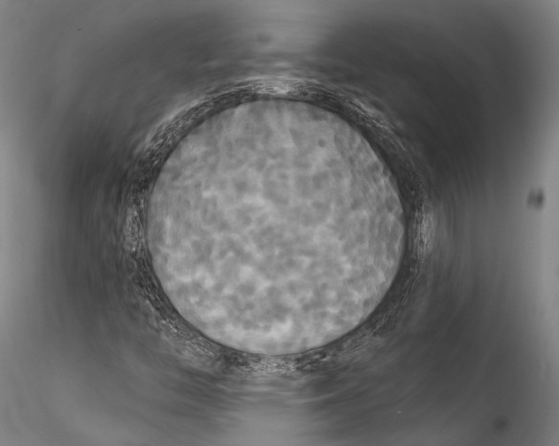 X0000115321446200911301547