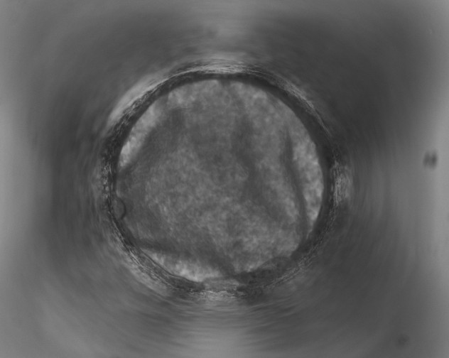 X0000115321448200911301547