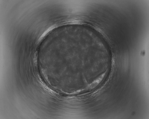 X0000115321450200911301547