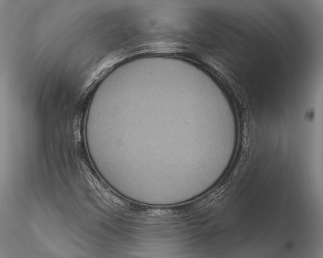 X0000115321451200911301547