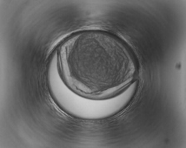 X0000115321452200911301547