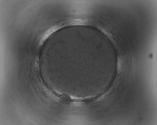 X0000115321453200911301547