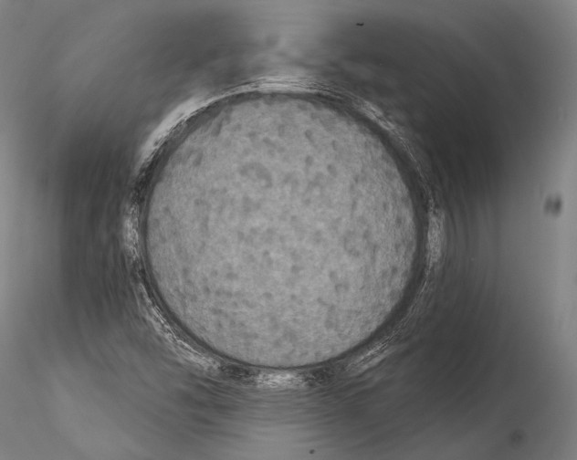 X0000115321454200911301547