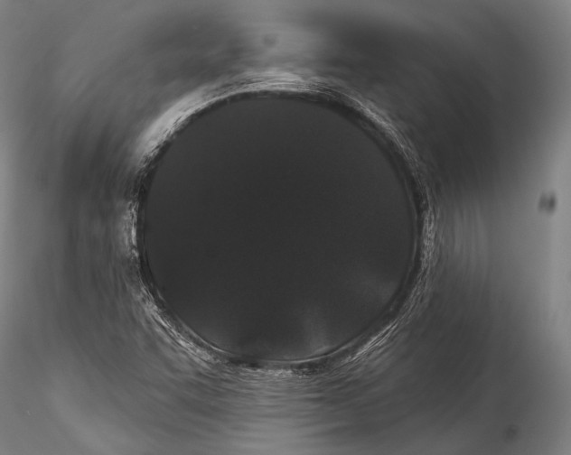 X0000115321455200911301547