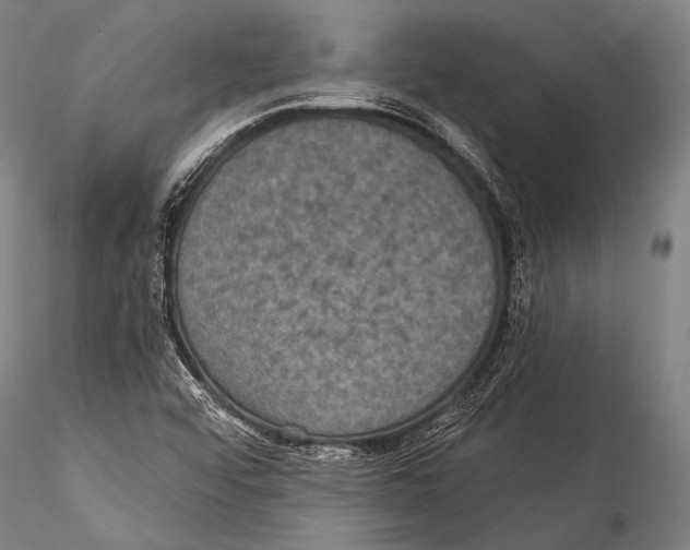 X0000115321456200911301547