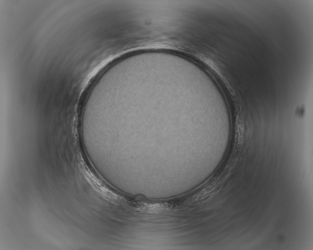 X0000115321460200911301547