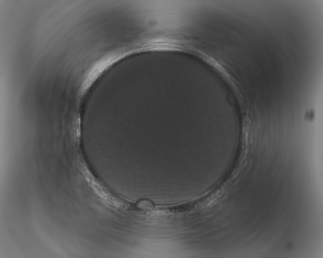 X0000115321461200911301547