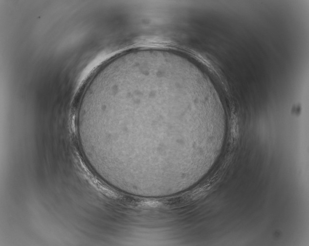 X0000115321462200911301547