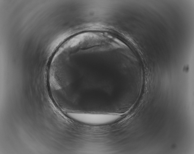 X0000115321463200911301547