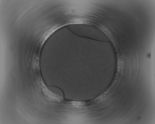 X0000115321465200911301547