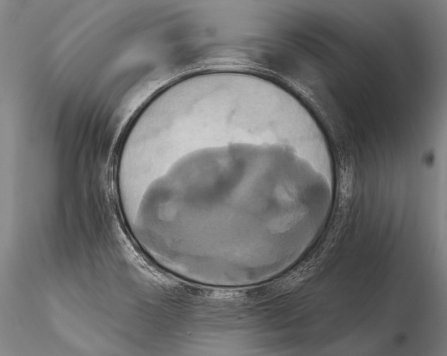 X0000115321466200911301547