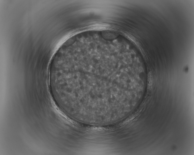 X0000115321467200911301547