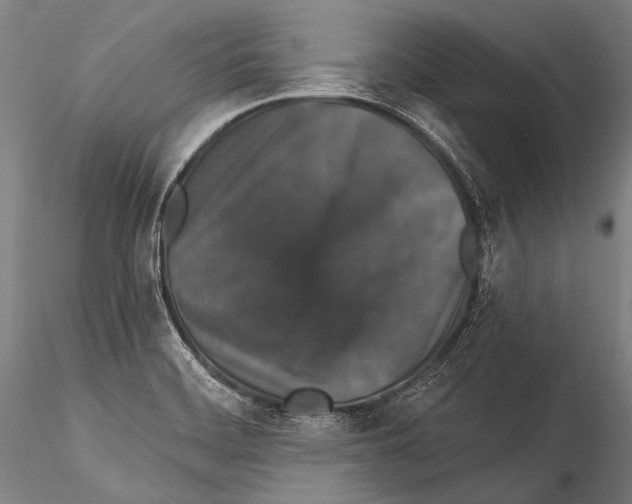 X0000115321468200911301547